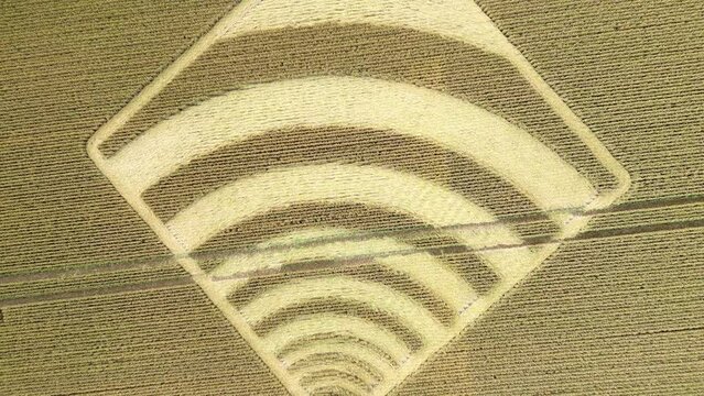 Aerial view rising over WIFI wave crop square on Micheldever wheat field farmland, Hampshire 2023