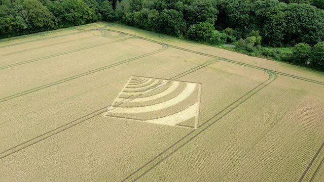 Aerial view circling towards Micheldever curving wave crop square on Hampshire wheat field 2023