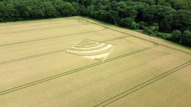 Aerial view moving over mysterious waveform crop square on Hampshire golden wheat farming countryside 2023