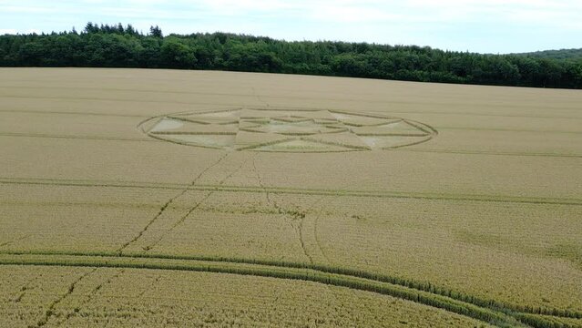 Aerial view rising over golden wheat farmland, looking down at Micheldever 2023 star shaped crop circle pattern, Hampshire