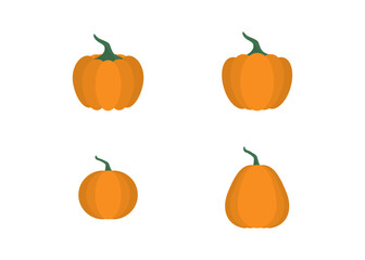 Collection of Autumn colored Pumkin, Thanksgiving and Halloween Elements.