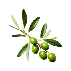 Schilderijen op glas green olives with leaves on branch © Vector Nazmul