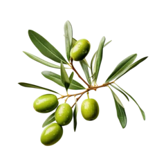 Zelfklevend Fotobehang green olives with leaves on branch © Vector Nazmul