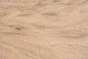 Fototapeta na wymiar 砂の模様　The texture of the sand