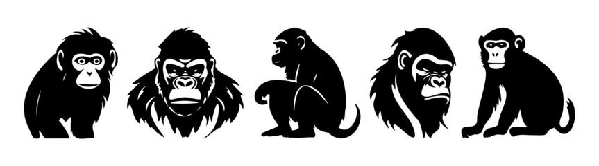 Animals line icon. Monkey, orangutan, banana, primate, chimpanzee, gorilla. Black vector icons on a white background for Business