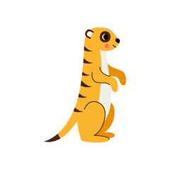Vector picture of cute meerkat isolated on white background.