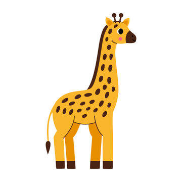 Vector picture of cute giraffe isolated on white background.