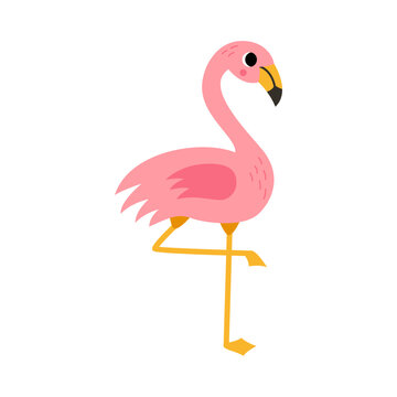 Vector picture of cute pink flamingo isolated on white background.