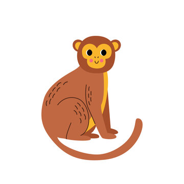 Vector picture of cute monkey isolated on white background.
