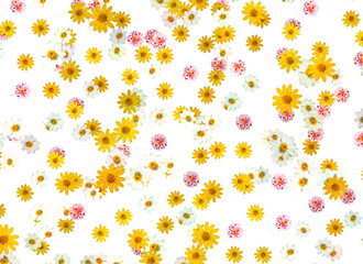 An image pattern random flower graphic a beautiful a colorful ornament is a artistic for background or fabric.