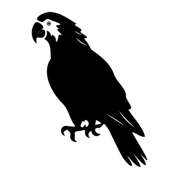 recommend clip art: Parrot line icon. Cage, talker, feathers, piastres, multi-colored, food, wavy, voice. Black vector icons on a white background for Business