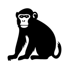 Capuchin line icon. Monkey, primate, africa, pet, bananas, monk. Black vector icons on a white background for Business