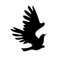 Fototapeta premium Hawk line icon. Bird, predator, falcon, flight, eagle, beak, sky, wings. Black vector icons on a white background for Business
