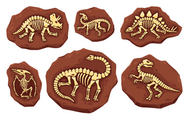 Dino fossil skeletons. Ancient dinosaur imprints in stone. Vector layers of earth with full body bones. Archaeological and paleontological excavations. Studies of prehistoric creatures and animals