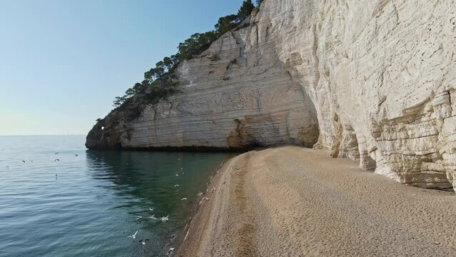 Aerial of birds start to fly from the beach towards the sea. Sunny day, Gabbiani, Italy.