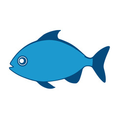 Vector illustration of  blue fish or fish logo on white background