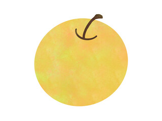 秋の味覚　梨の水彩イラスト