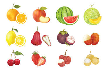 Set of  fruits watercolor vector illustration