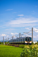 田園地帯を走る鉄道⑥