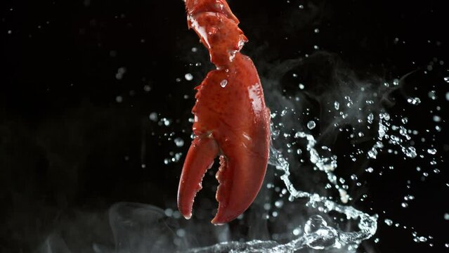 Lobster claw with water splashing in slow motion