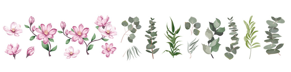 Mix of herbs and plants vector big collection. Green plants and leaves. All elements are isolated. A branch of pink magnolia, sakura. . Vector illustration. Vector illustration