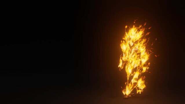looped 3d animation. walking burning man