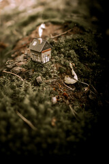 miniature house in the woods ideal for walpaper or real estate advertisment, makro photo, with forest and plants