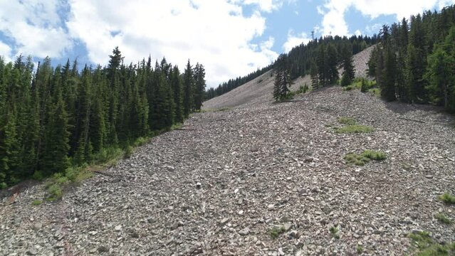 Aerial over talus field on mountain slope lined with pine trees in northern Idaho in summer