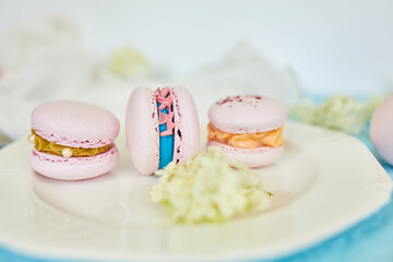 Assorted sweet french pink macarons on blue background with fresh flowers, pastry assortment, sweet indulgence.