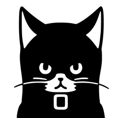 symmetrical cat, cute and lovely face