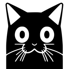 symmetrical cat, cute and lovely face