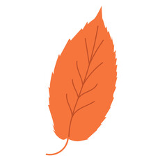 Autumn Leaf