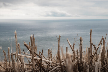 An amazing clifftop view of the sea