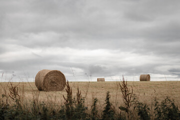 Bails of hay in a field on a stormy day