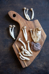 Cluster of fresh brown shimeji mushrooms close up. shimeji mushrooms on wooden background