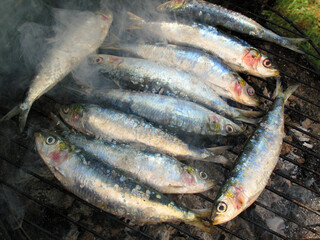 Barbecue of grilled sardines not yet fully grilled