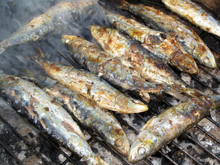 Barbecue grilled sardines with a slightly golden color