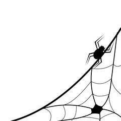 Halloween Spider Web