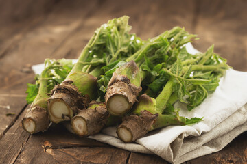 edible shoots of a fatsia