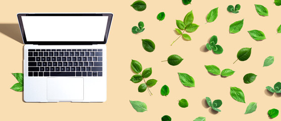 Laptop computer with green leaves - flat lay