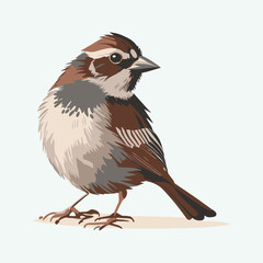 Obraz premium vector cute sparrow cartoon style