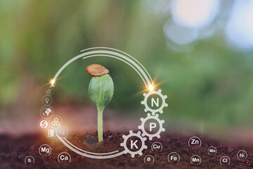 Pumpkin seedlings grow from fertile ground and have technology icons about minerals in the soil...