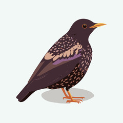 vector cute starling cartoon style