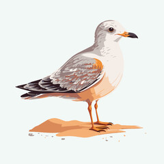 vector cute seagull cartoon style