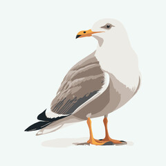 vector cute seagull cartoon style