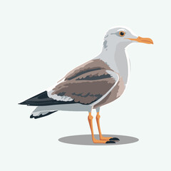 vector cute seagull cartoon style