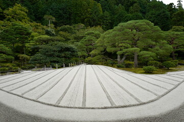 Japanese Garden in Kyoto
