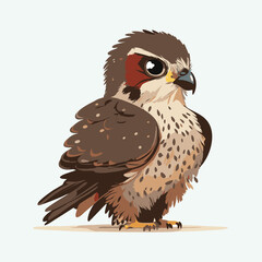 vector cute falcon cartoon style