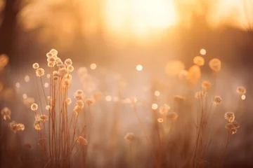 Fotobehang Beautiful meadow flowers, a fresh morning suffused in soft, warm light. A vintage autumn scene with an indistinct natural background. Defocused nature. © James Ellis