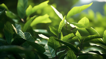Botanical Snapshot: Captivating Close-Up of Green Plants in High Quality

